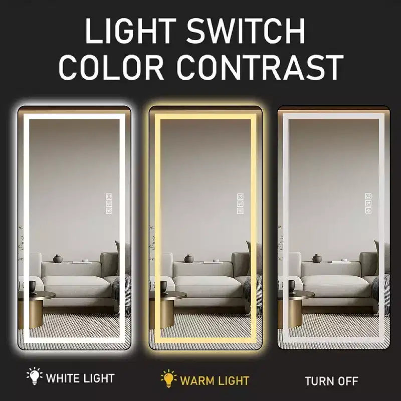 Whisen Full-Length Dressing Mirror with 3-Color Dimmable Light and Aluminum Frame, Wall Mount or Floor Bracket Standing, 21x64 - Black