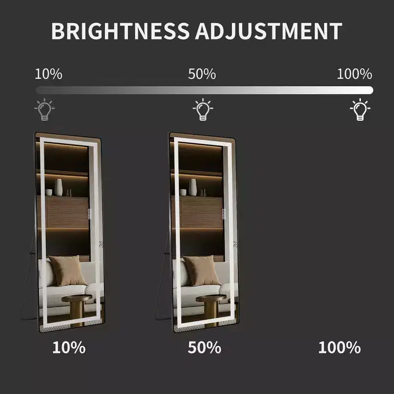 Whisen Full-Length Dressing Mirror with 3-Color Dimmable Light and Aluminum Frame, Wall Mount or Floor Bracket Standing, 21x64 - Black